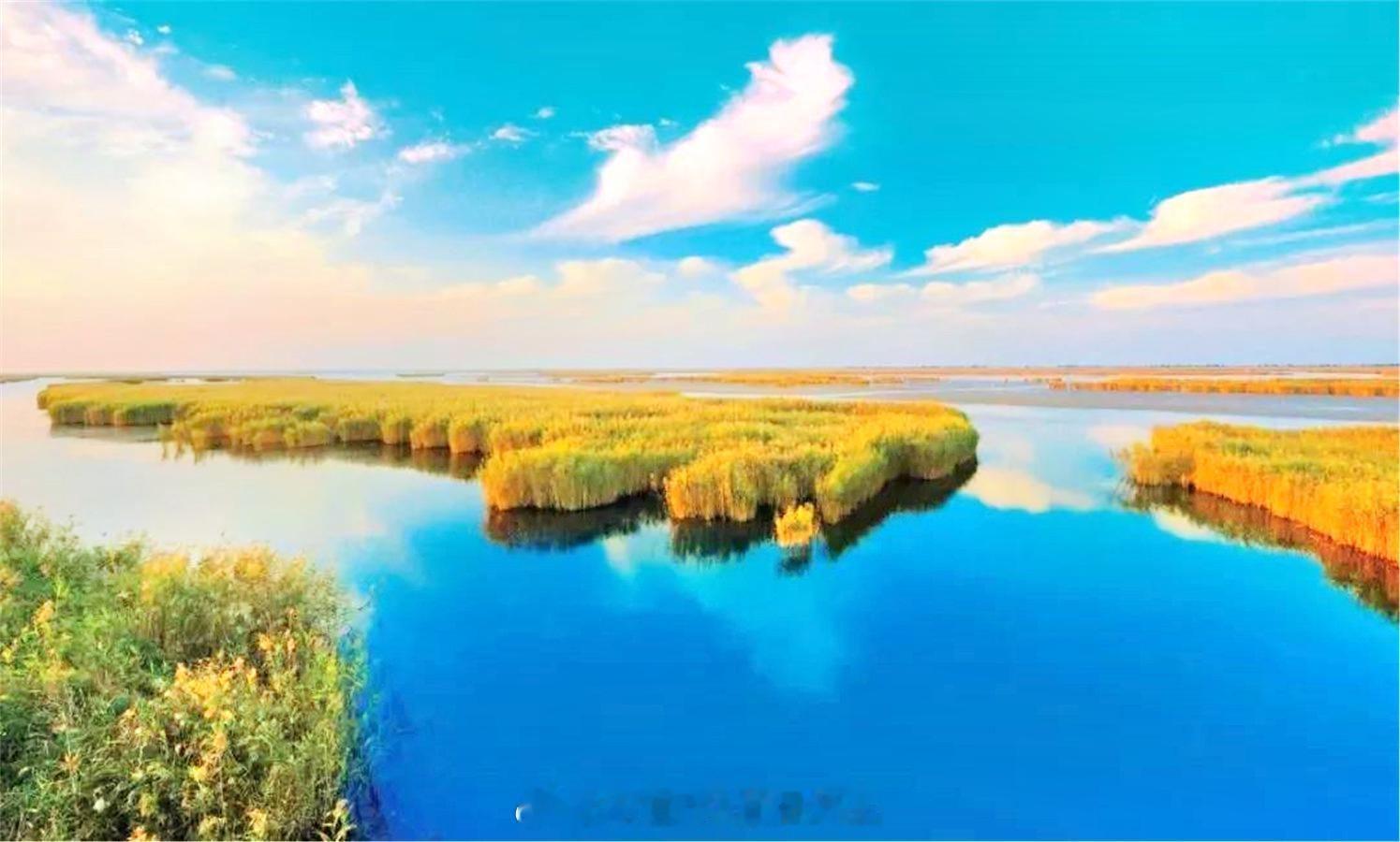 高青‘北国夏韵’线路官宣全国精品！天鹅湖慢城泡温泉+蓑衣樊湿地吃鱼宴，还能黄河楼