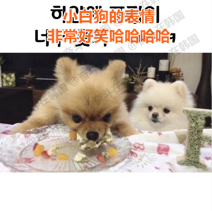 小饭量的朋友看我吃饭： ​​​热点现场 海外新鲜事 ​​​