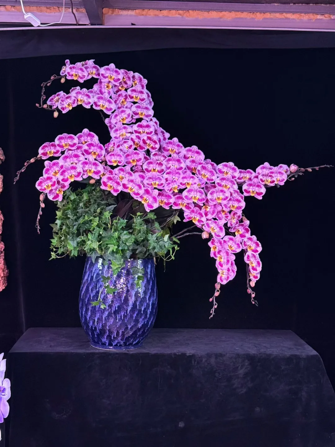 深圳香港全程送|top2