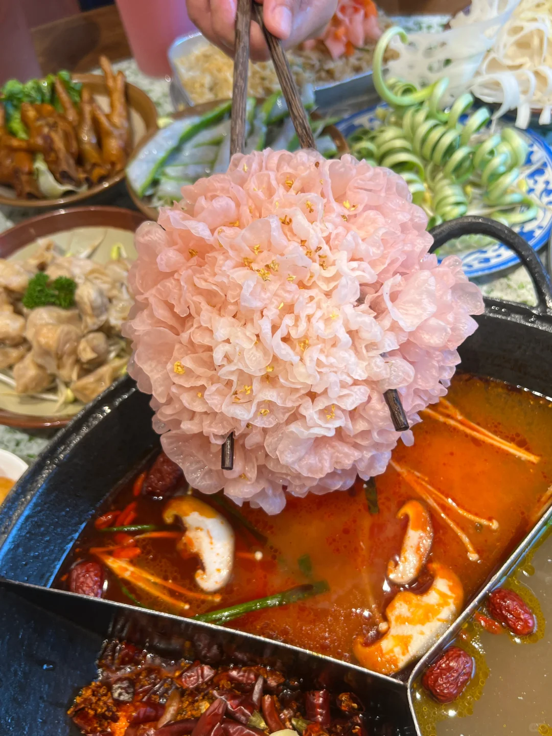 救命！！海口的！！谁来解释一下这种….