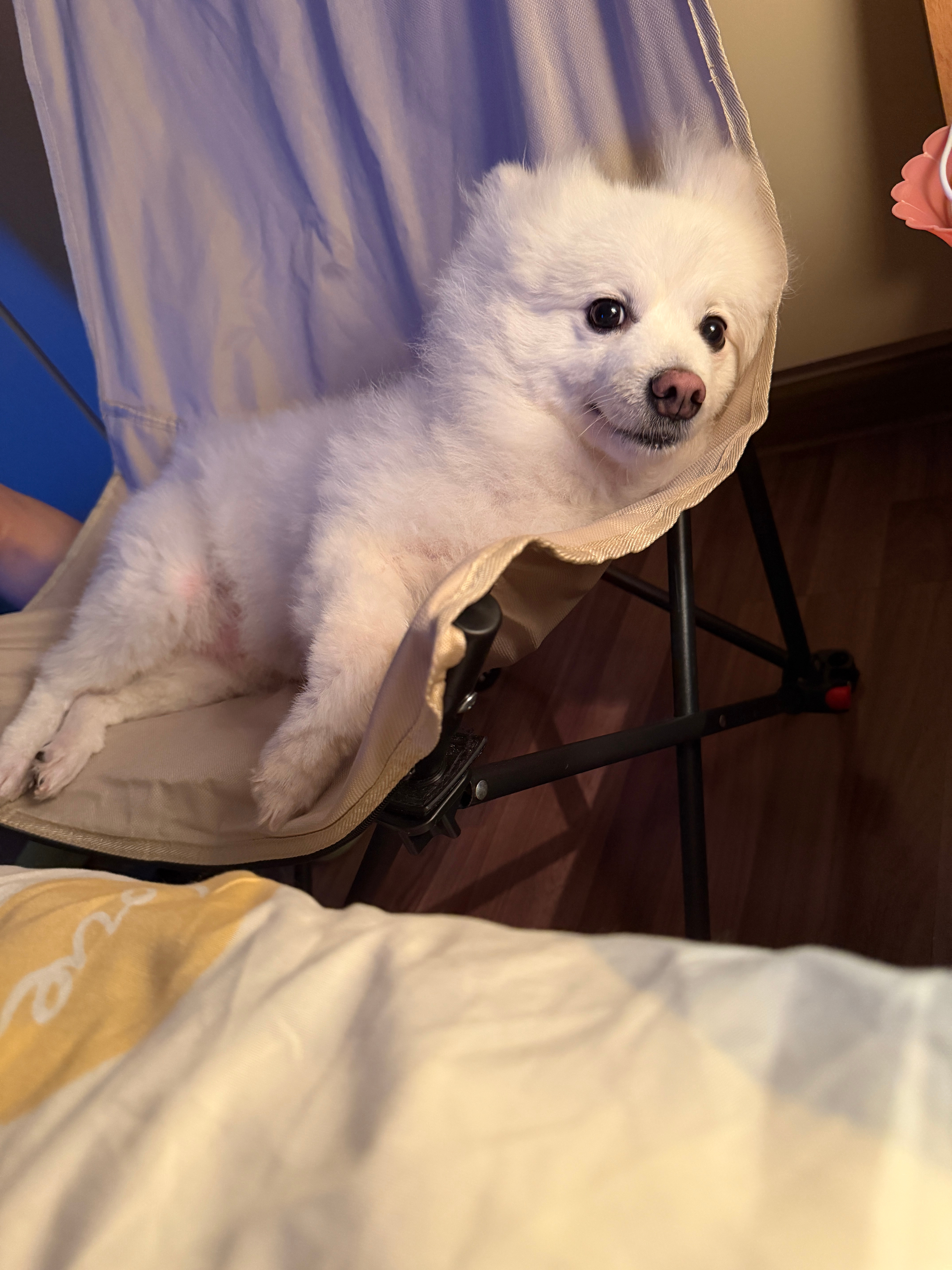 就这样四目相对 