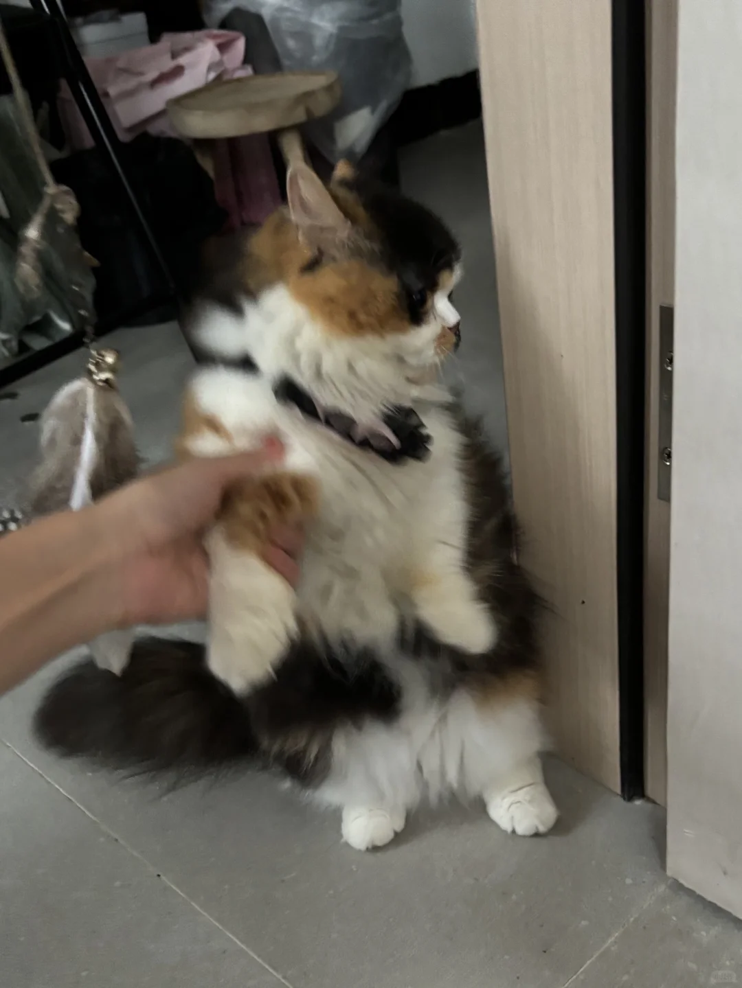 孩子到叛逆期了