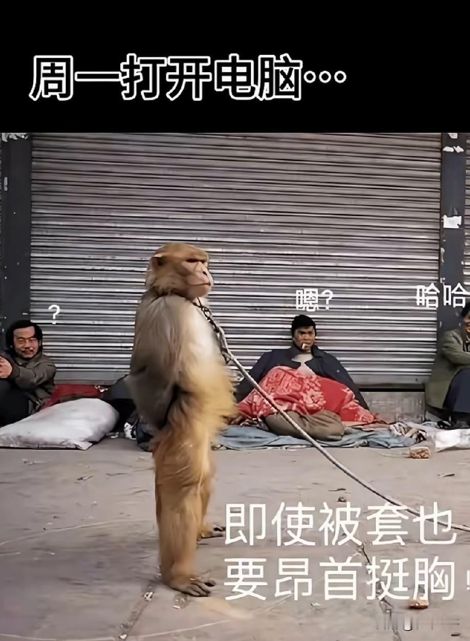 7.20底部放倍量上涨前十个股
 
1.菲林格尔——倍量2.07，瓷砖地板
2.