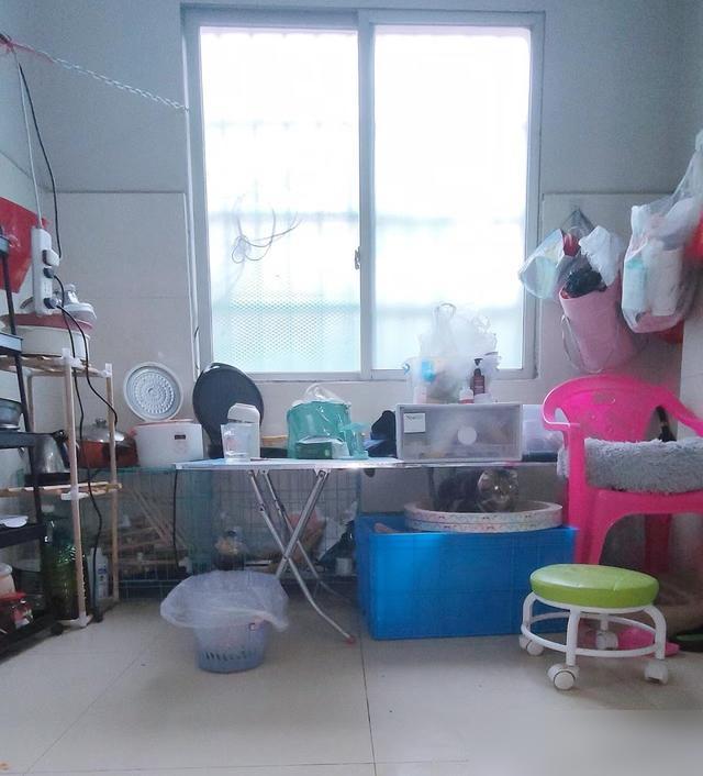 南方的朋友谁懂啊！回南天一来，家里墙在“掉眼泪”，地面滑得能溜旱冰，连刚洗的袜子