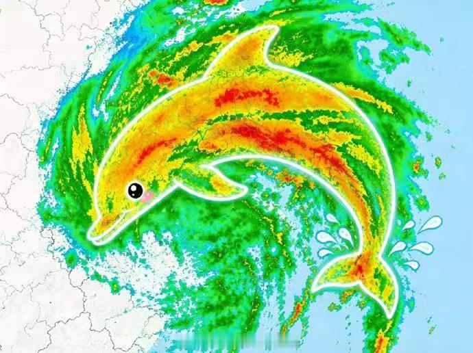 台风“白海豚”的前世今生
在西北太平洋台风名录中，“白海豚”是最为温柔别致的名字