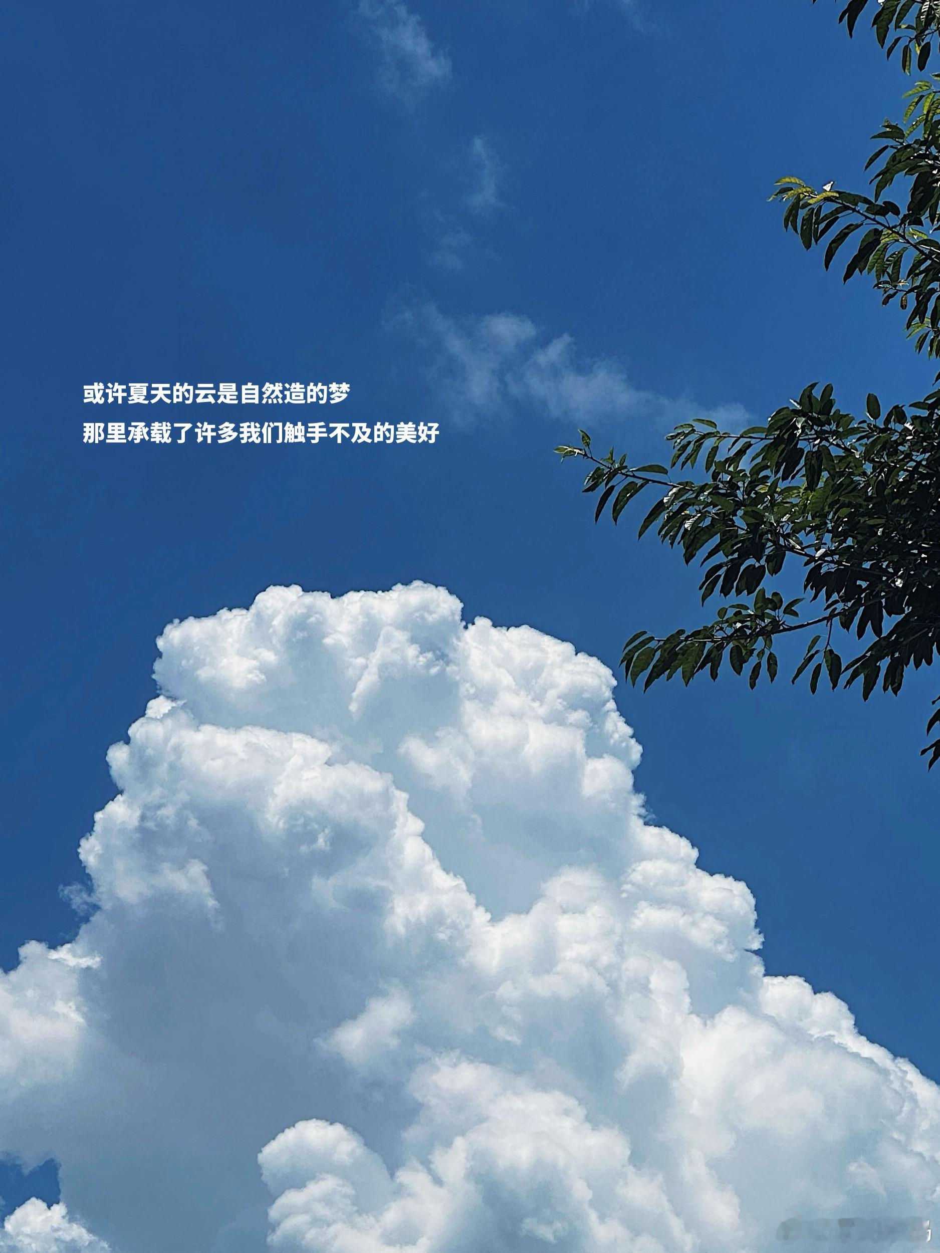 plog ♡! 一步一步填满儿时的虚荣心🖊夕阳西下时候的晚霞 凉爽的空气～每天