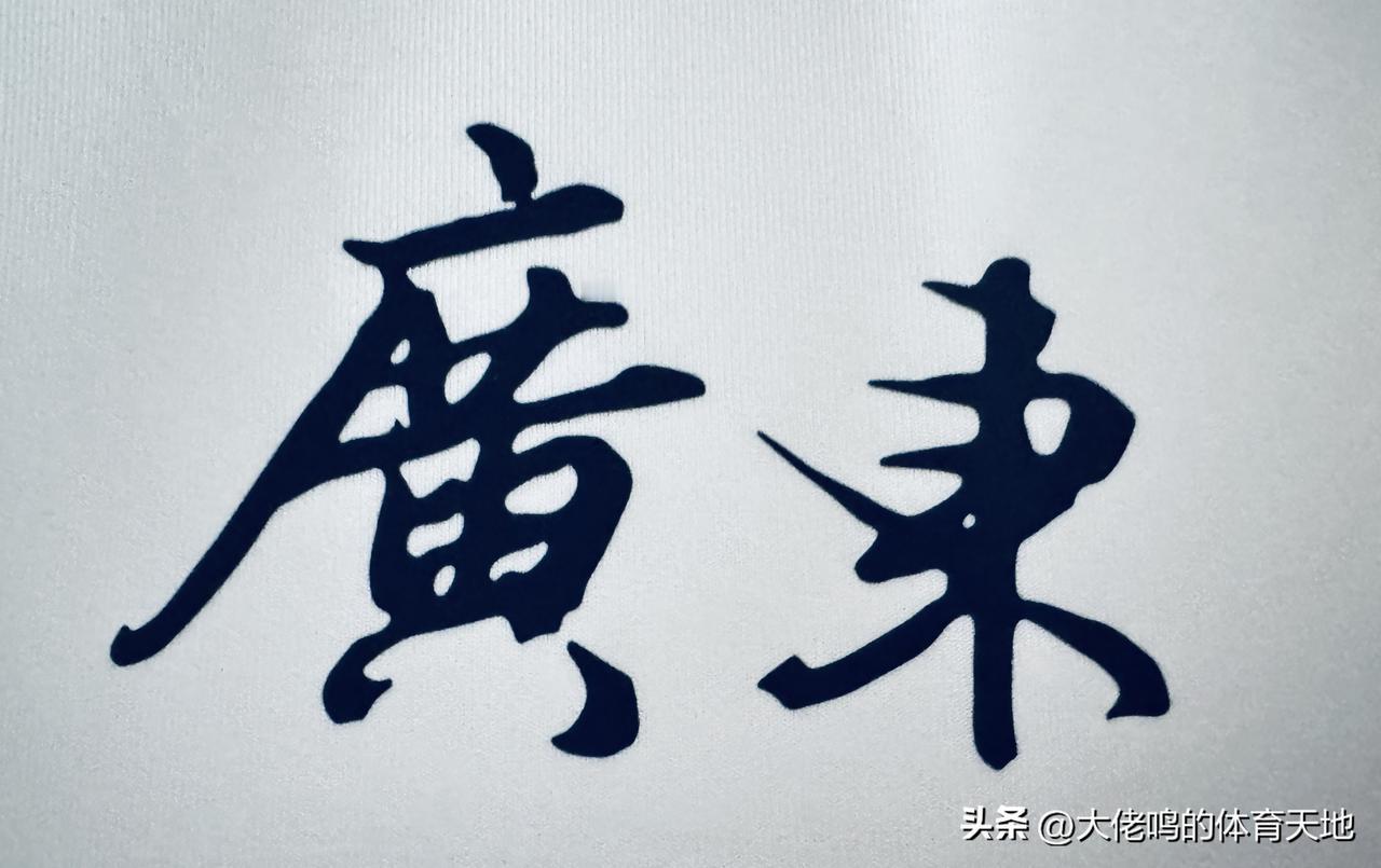 【素锦粤章：一件省域文化的轻盈注脚】
客观评价，有一说一：锐克此款“广东”主题外