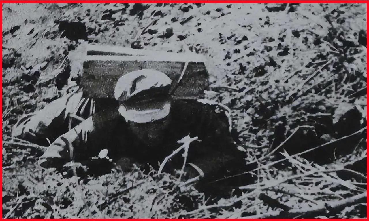 流传了 70 年的 “邱少云事迹违背生理学常识” 的谣言，被一份尘封的战地医学鉴