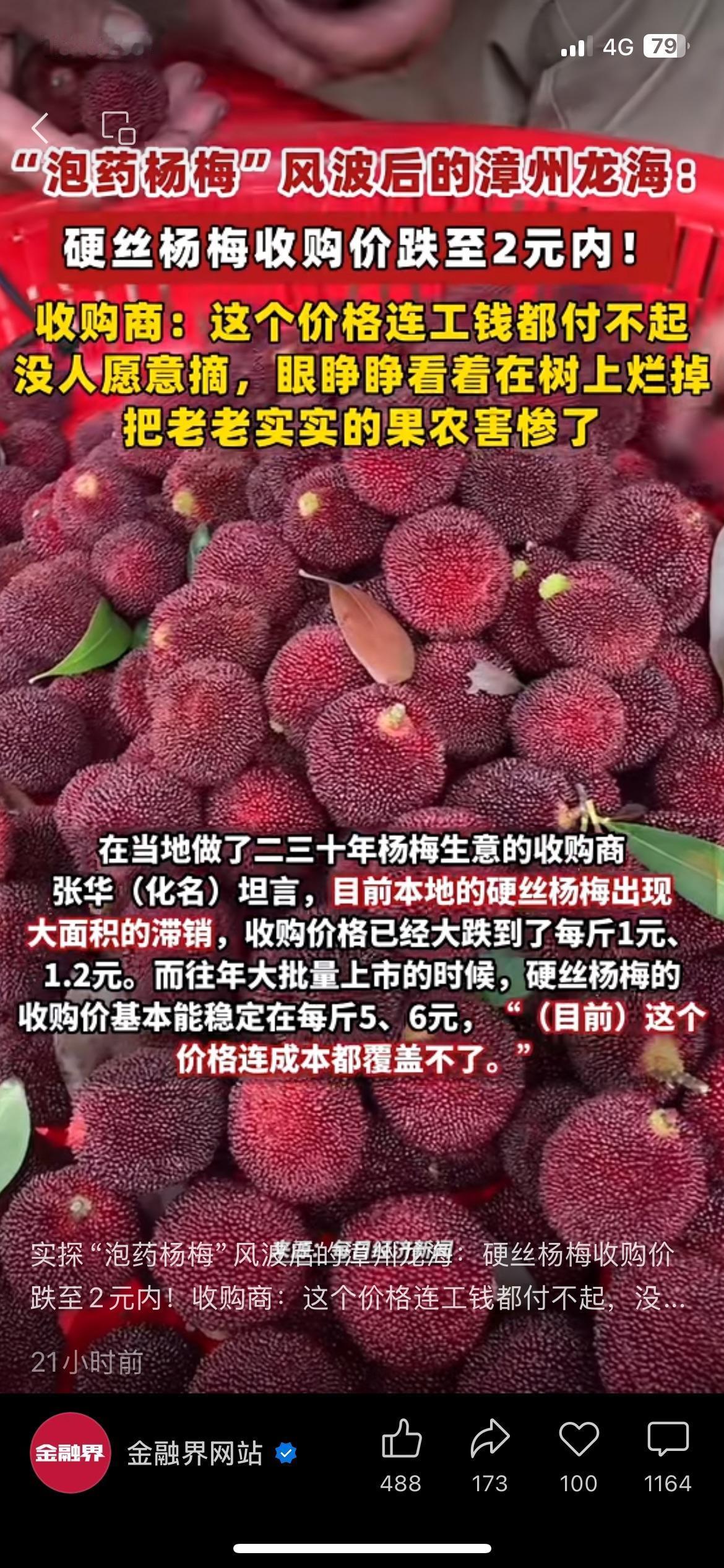 网传泡药言论发酵后，漳州杨梅行情直接遇冷，收购价跌至1-2元每斤。
低廉价格连采