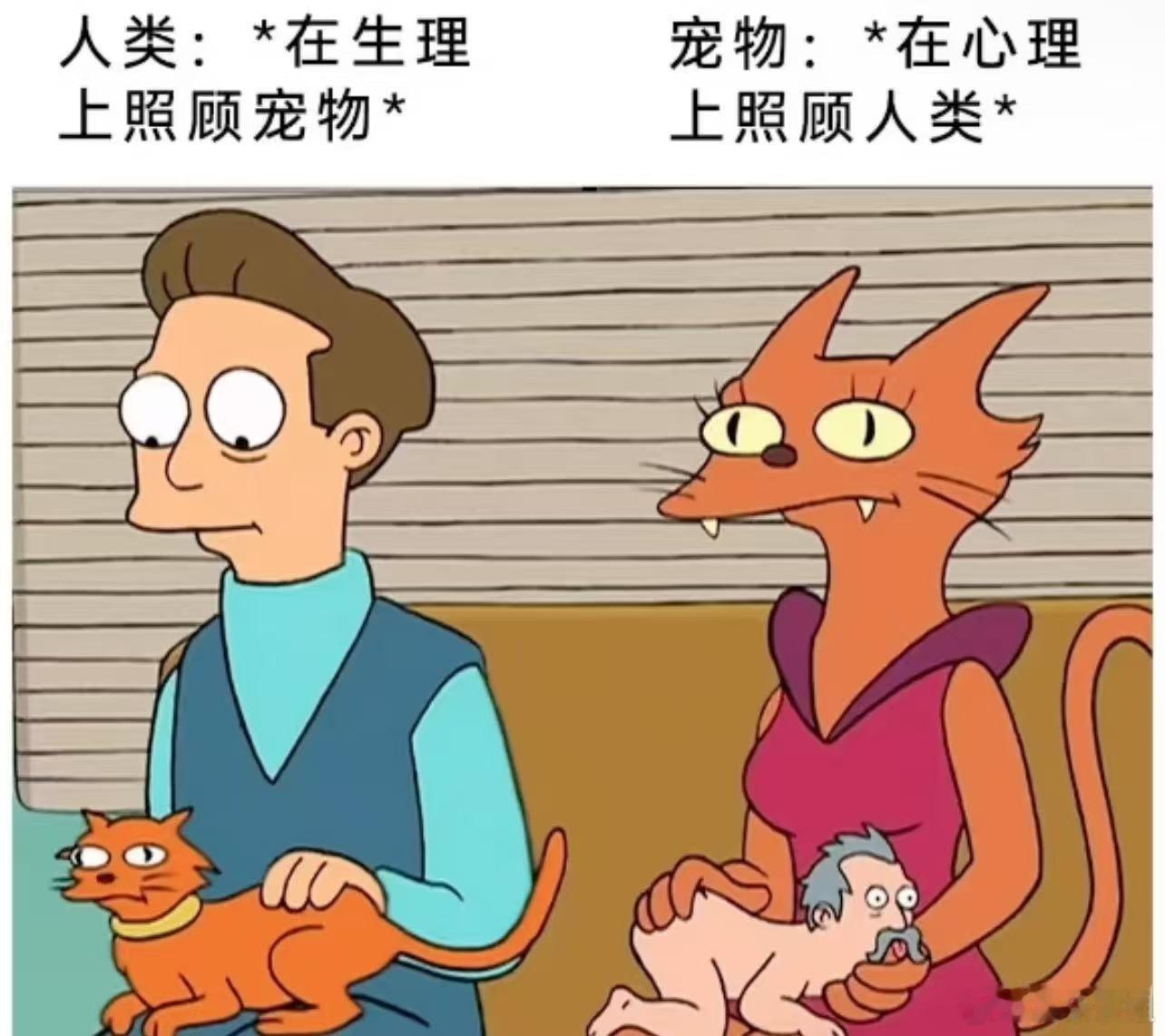 十二星座 6宫的宫主星和其他行星产生相位很多的话，盘主其实会很享受被小动物需要的