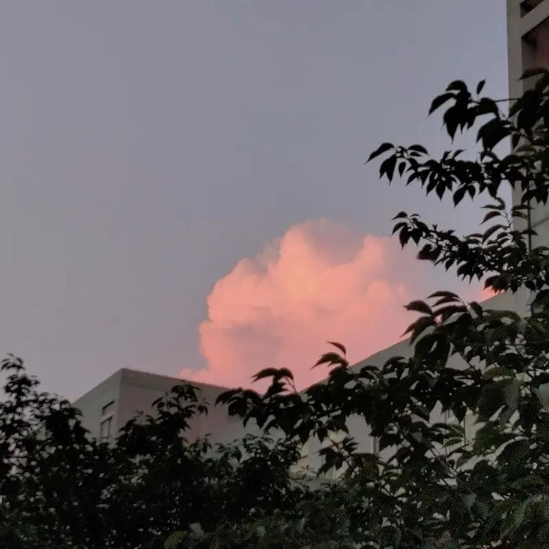 家人们，我跟你们说个超逗的事儿！山东有个女子，流感后自己去医院打吊瓶。邻床有个五