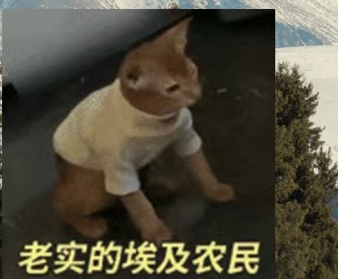我真的喷了我在我高中校友群看到一中年大哥发小十一表情包。这么出圈了吗 ​​​