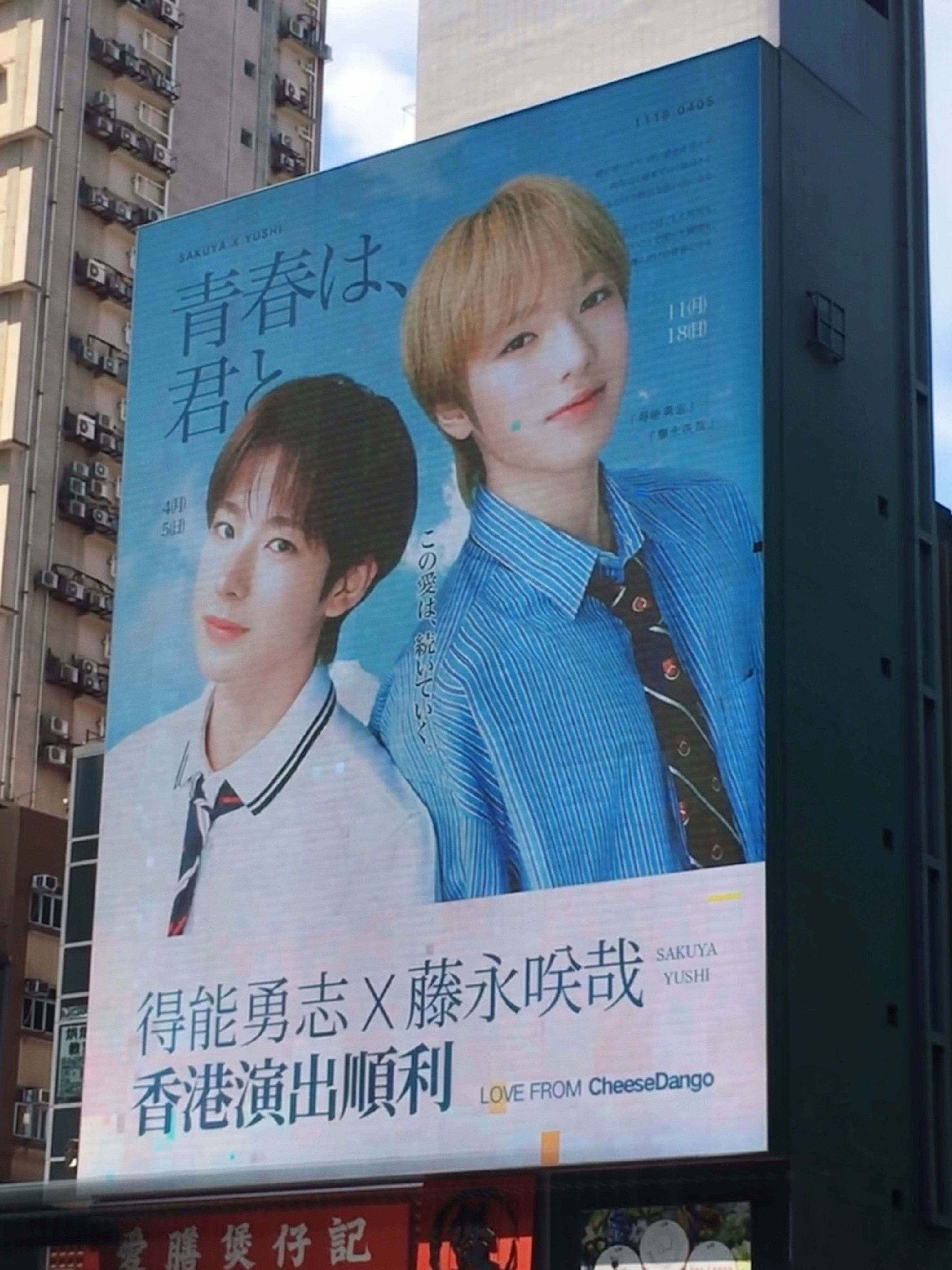 芝士球闪耀旺角ヾ(-`ω´-｡)!ɞ..° ​​​