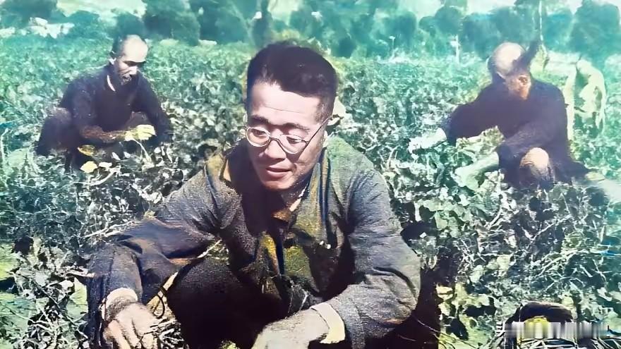 李宗仁直言点评两大黄埔悍将，战败仍自负终究难成大事
 
李宗仁在他的回忆录里，对