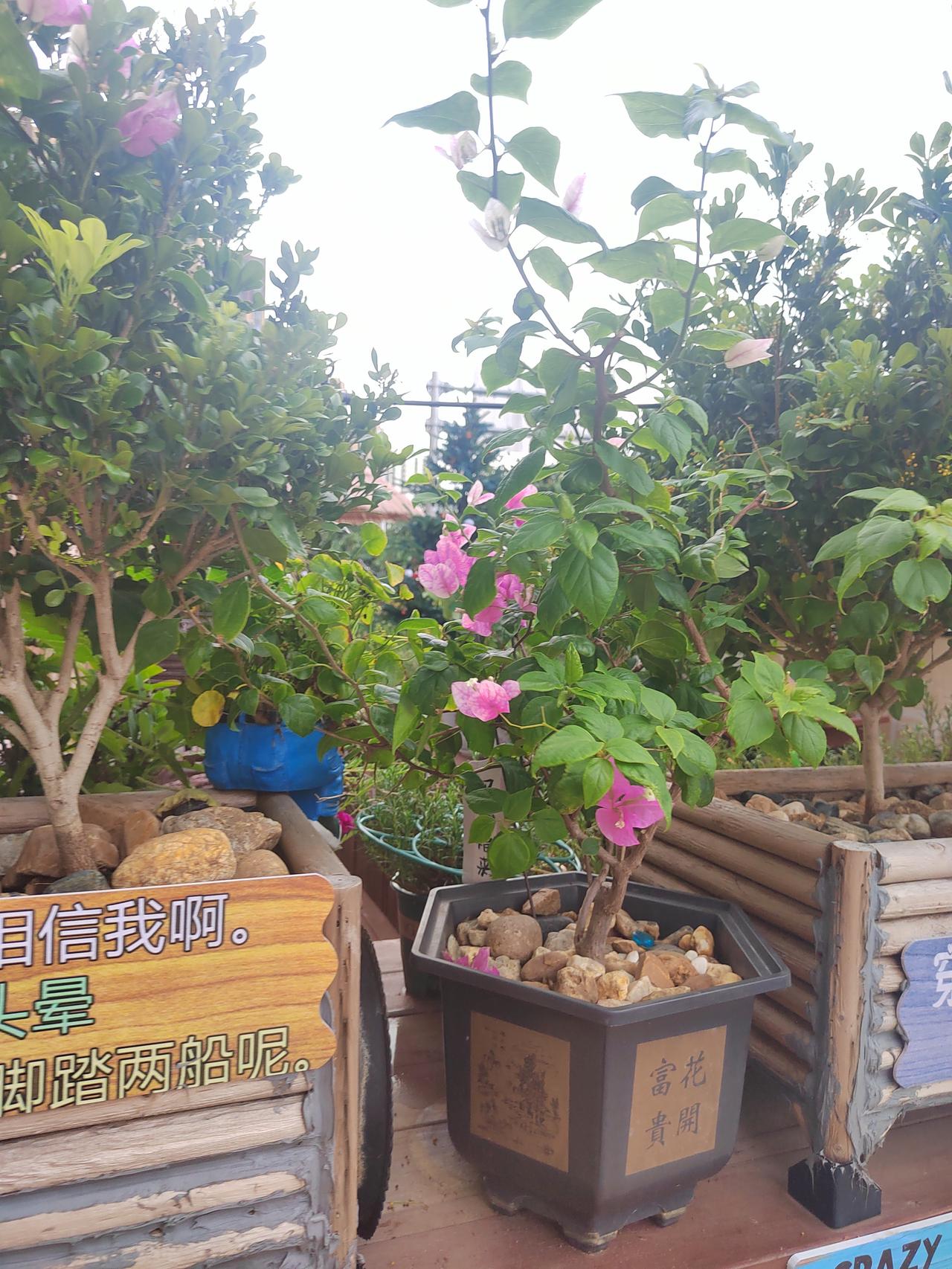 为什么说踏实是流量时代的底气？
      在流量时代，踏实就是底气。现在很多人