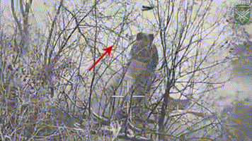 俄军1名士兵被乌军无人机投掷炸弹砸死，炸弹未炸！
在白雪皑皑的顿涅茨克前线，乌军