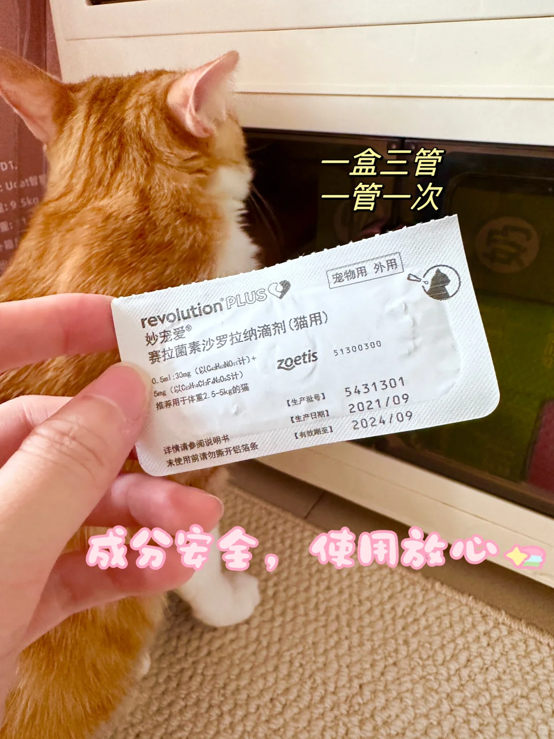 经常带猫外出要做好防护哦