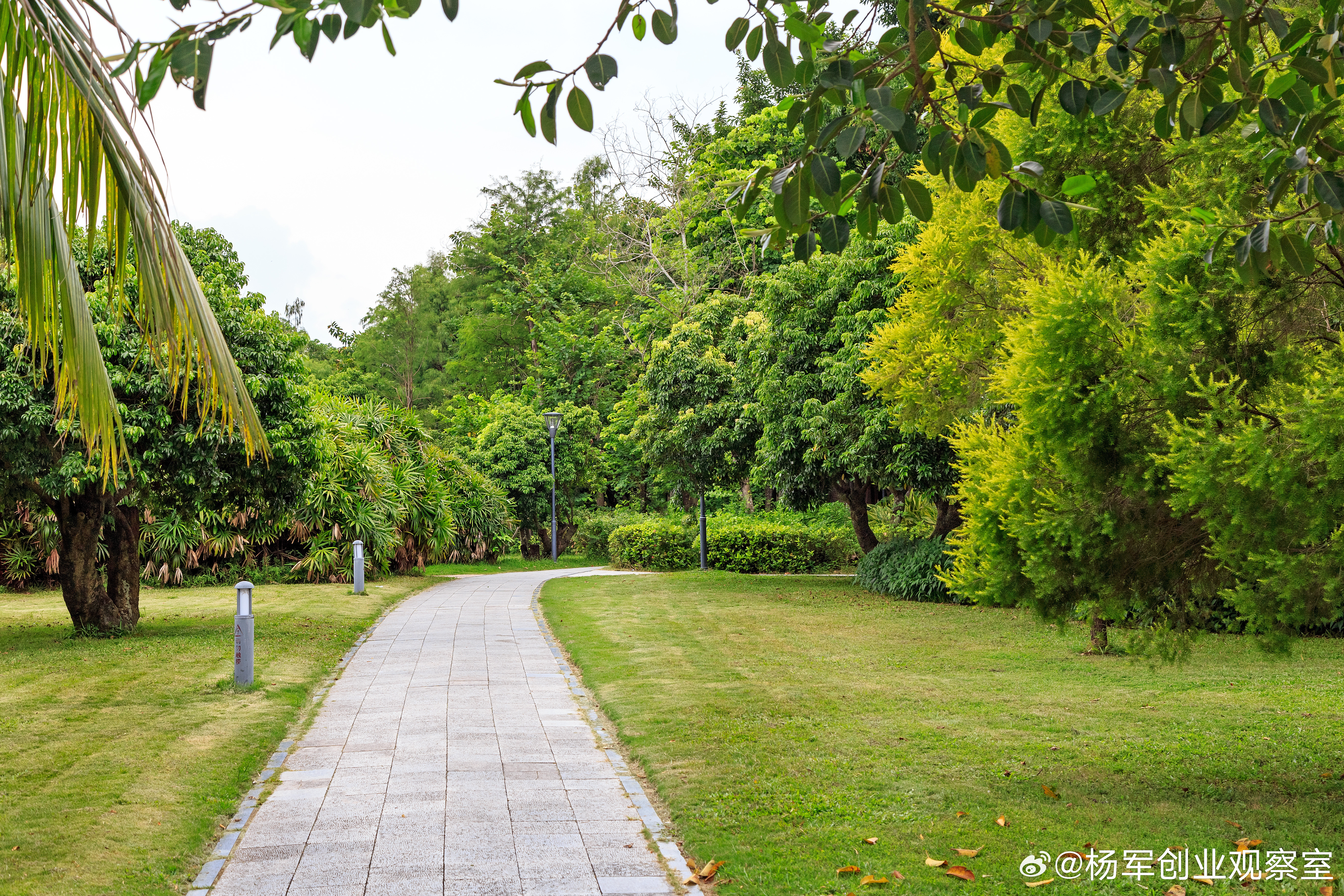 个体工商户转型成公司后，原来的债务是不是不用还了？合伙或个体户升级为公司后，法律