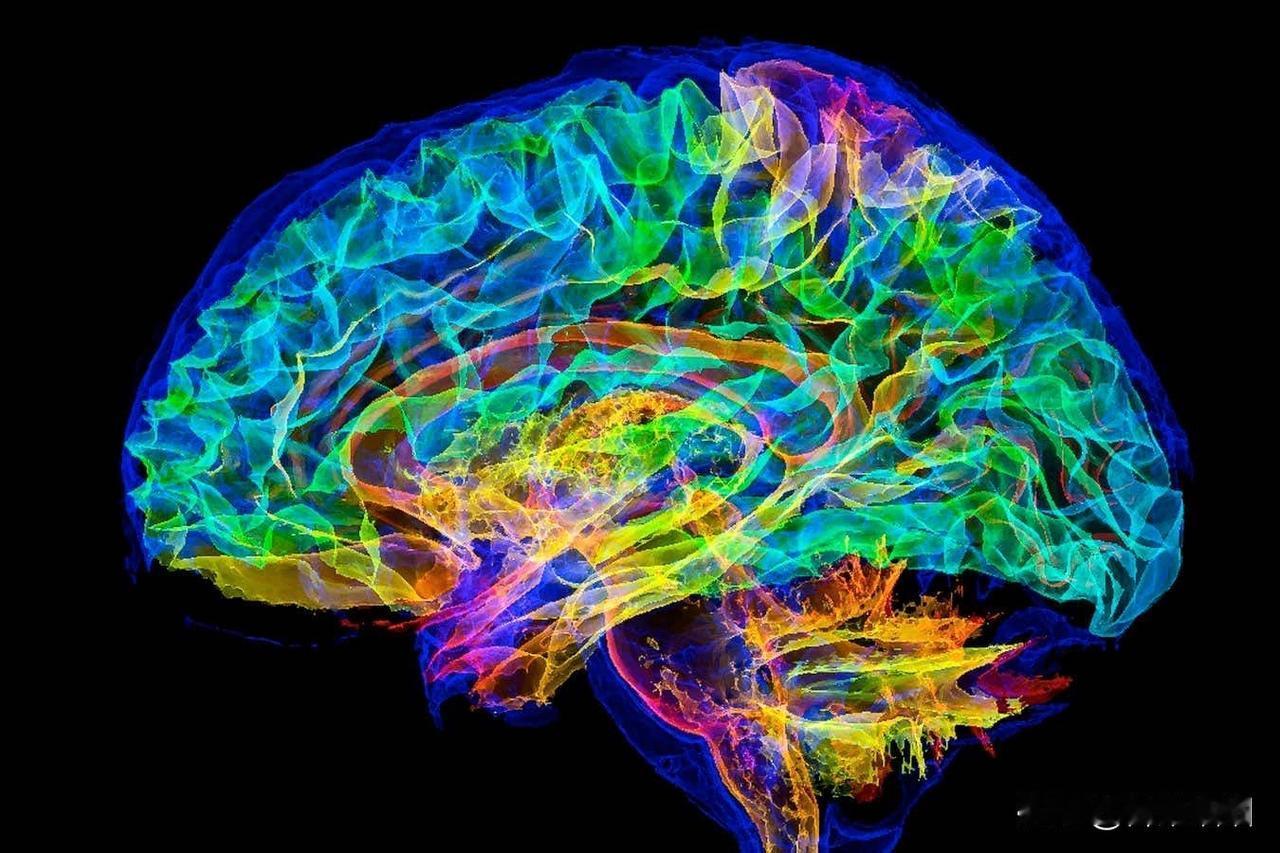 人类大脑即将在超级计算机上模拟

2026年1月13日据《新科学家》报道,德国于