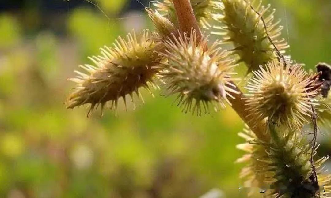 又是崭新的一天
一天好心情
天气好
心情好