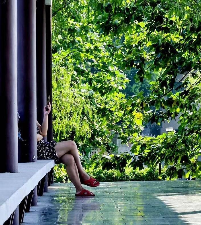 陀思妥耶夫斯基：我一直想着要做梦，梦想某种特别的转折点，某个突如其来的非同寻常的