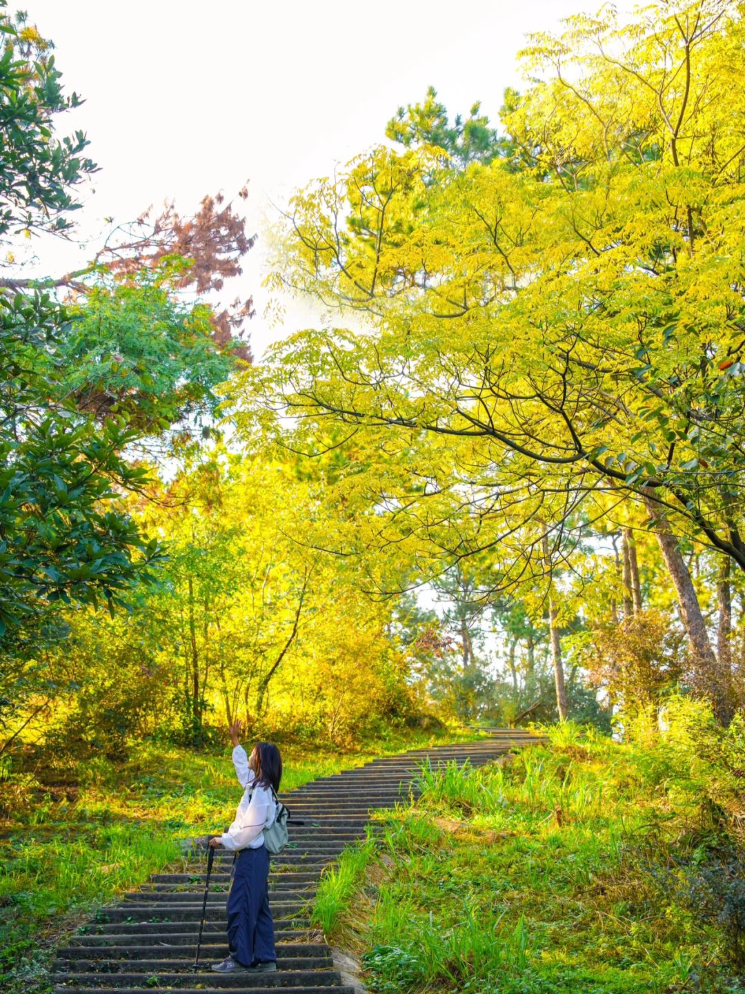 武汉赏秋/一个被严重忽视的徒步赏秋圣地🍂
