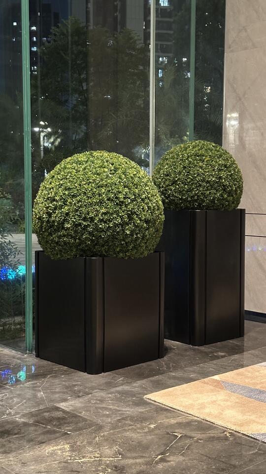 植物星球大赞👍！
