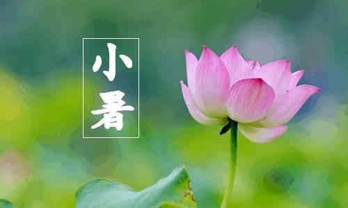 【原创作品】
   七律•小暑
     文/张和平
薰风拂岸昼初长，柳线垂阴护