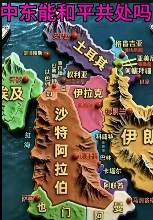 强力推动停火与人道救援：当前加沙等地仍在冲突，国际社会首要任务是施加压力，确保停