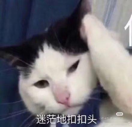 。…为什么会不理解什么是对公转账的，是不理解对公两个字？还是不理解转账两个字？…