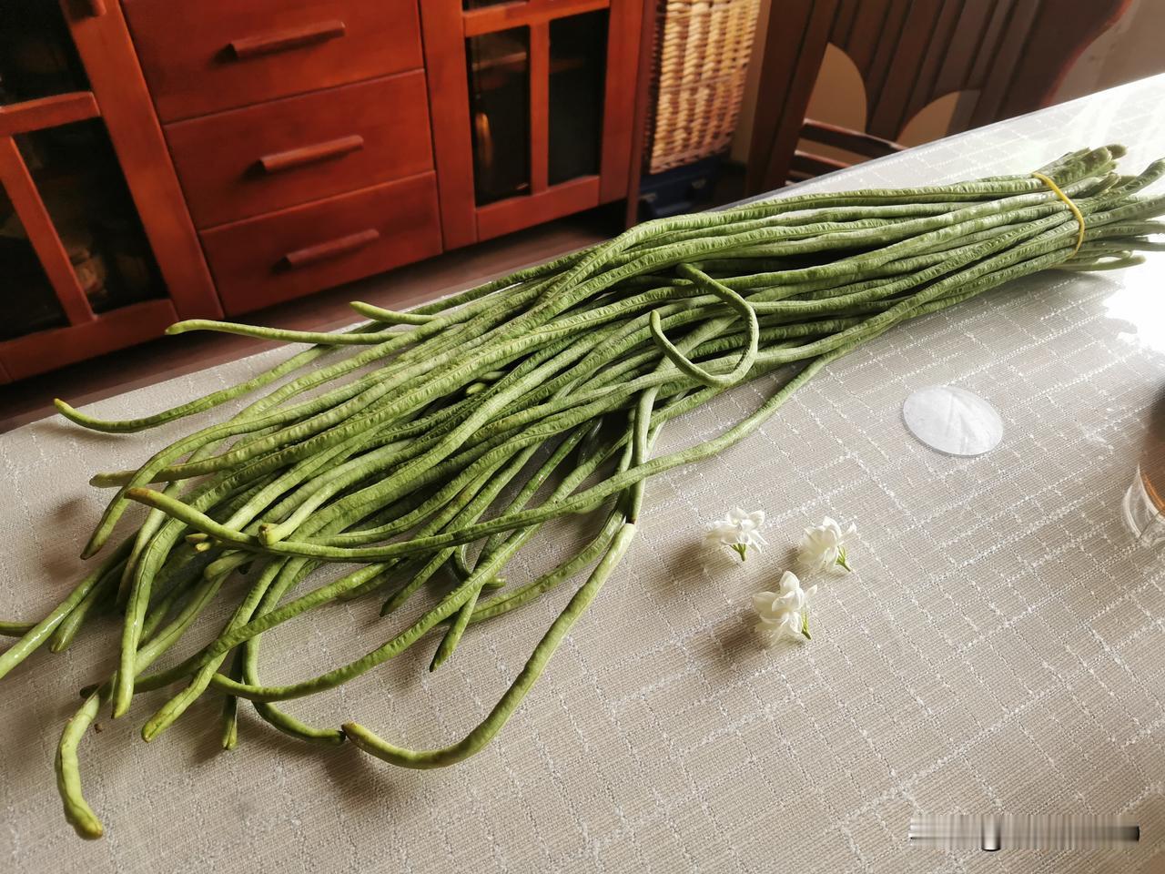 现在的豇豆怎么能长这么长，感觉有点吓人。
买了一把豇豆，
长度超乎寻常，
感觉比