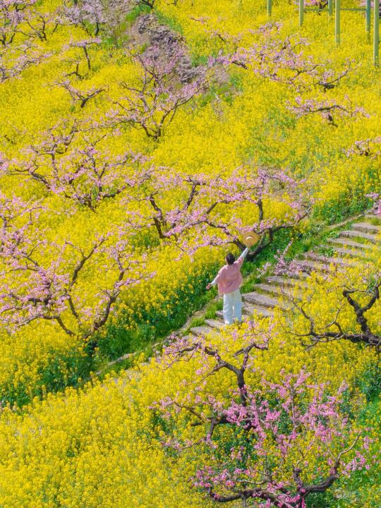 不在婺源，在湖州，坐上开往春天的漫画小火车