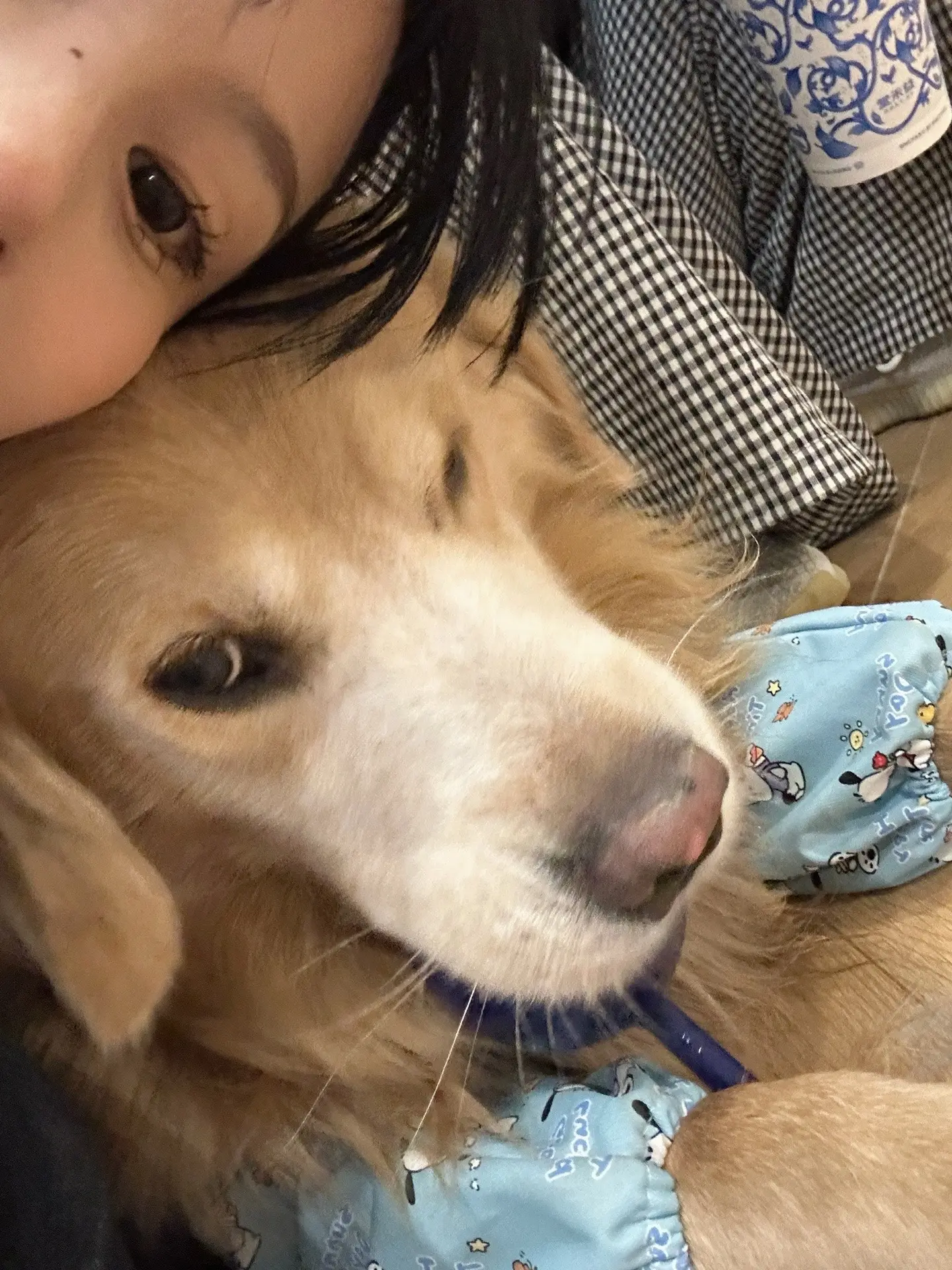 我的两个小宝