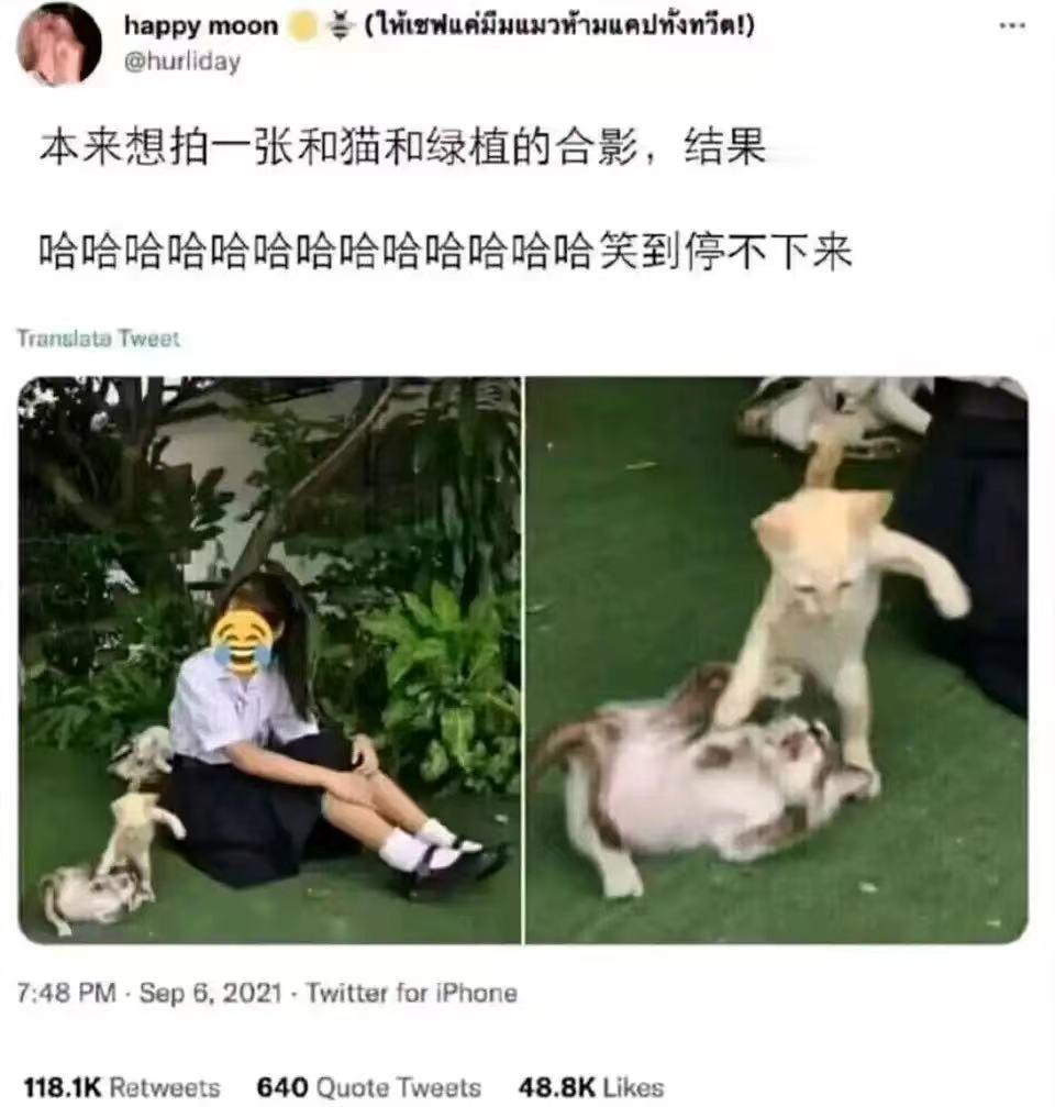 战斗！ ​​​