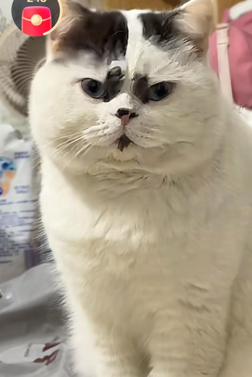 日久见人心！