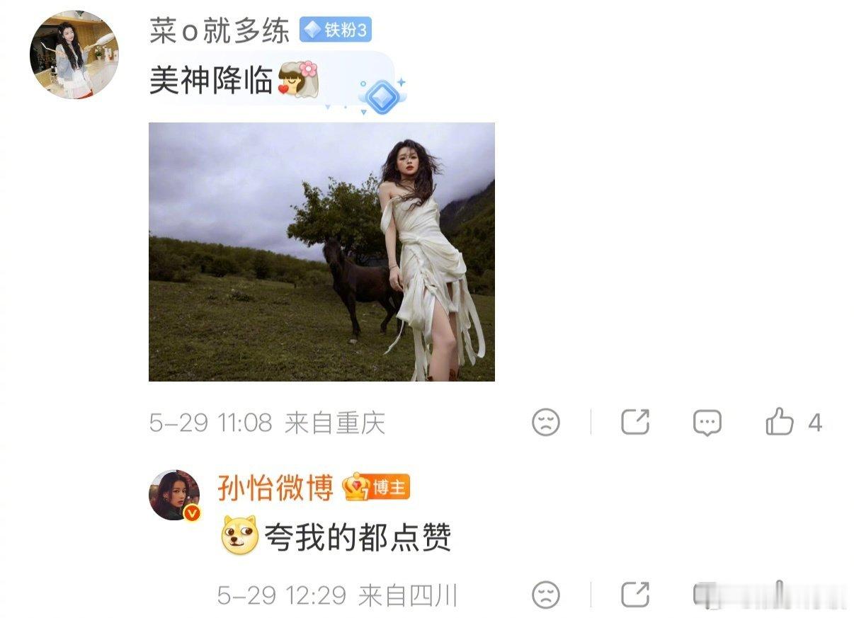 孙怡你是在培养死士吗孙怡邀请粉丝一起走红毯 真诚永远是必杀技！孙怡评论区疯狂整活