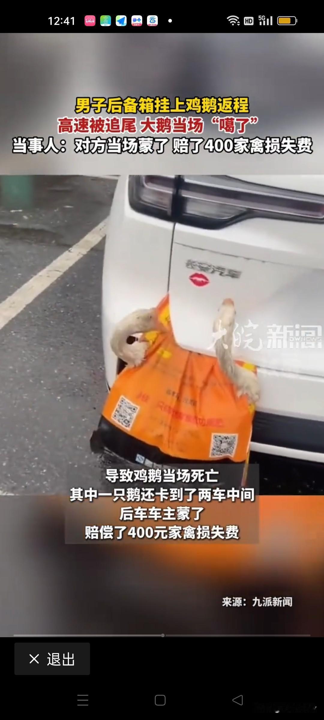 千里归途载家禽，
后备箱外避气闷。
一遇追尾俱断魂，
来年不复带生灵。

湖北襄