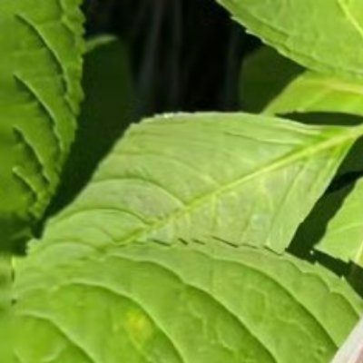 人活一世重要的是经历。苦也好，乐也好，过去的不再重提，追忆过去，只能徒增伤悲，当