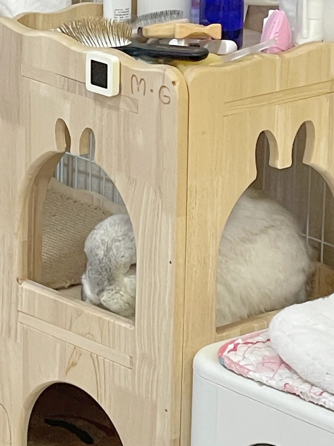 城堡里的小公主