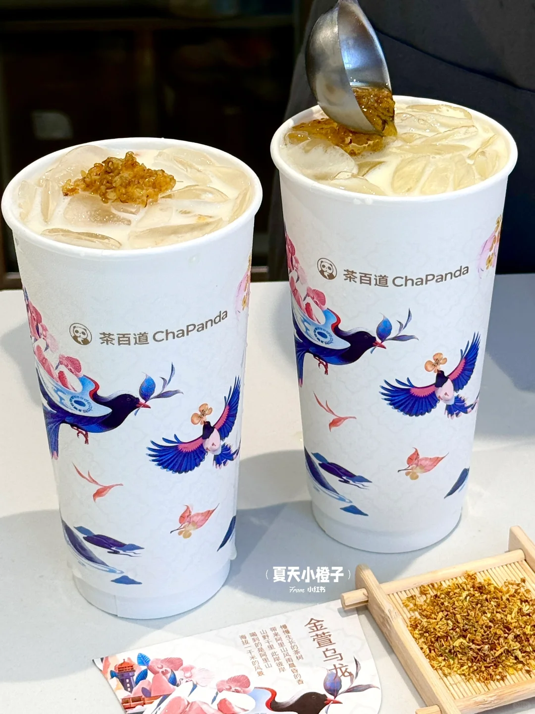 茶百道新品，桂花金萱奶冻！！好好喝🥹🥹