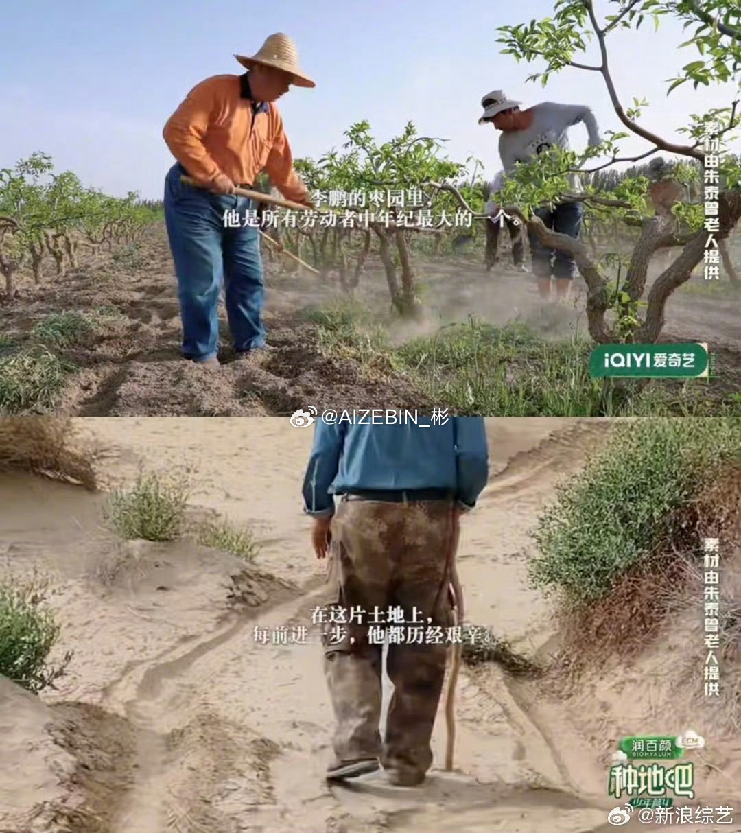 看种地吧李老的故事一直在哭曾经这片土地沙进人退，风沙不断侵蚀家园，李老不愿放弃故