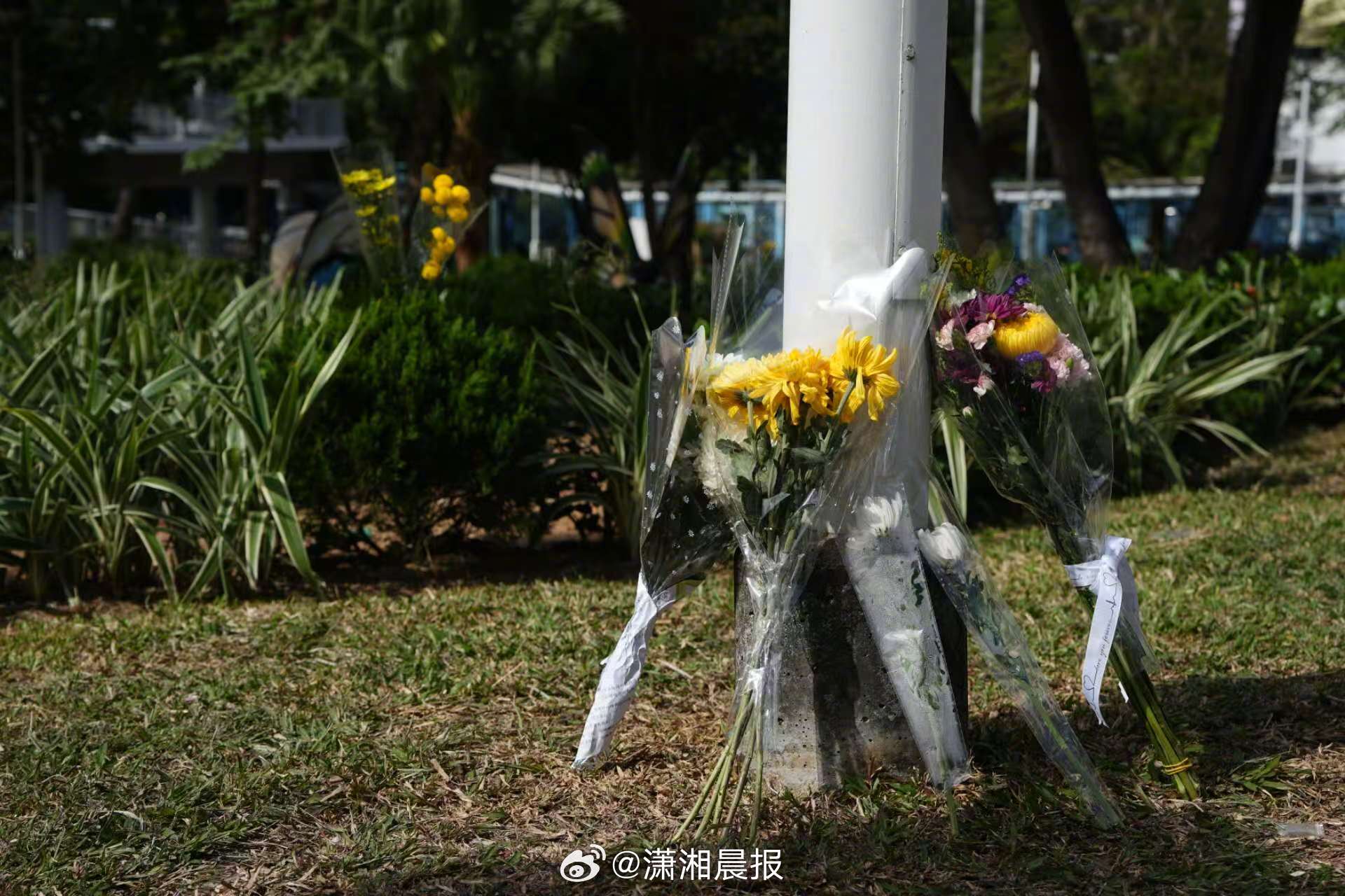 【#香港火灾附近有市民带鲜花来悼念#】11月26日下午，香港新界大埔屋邨宏福苑多