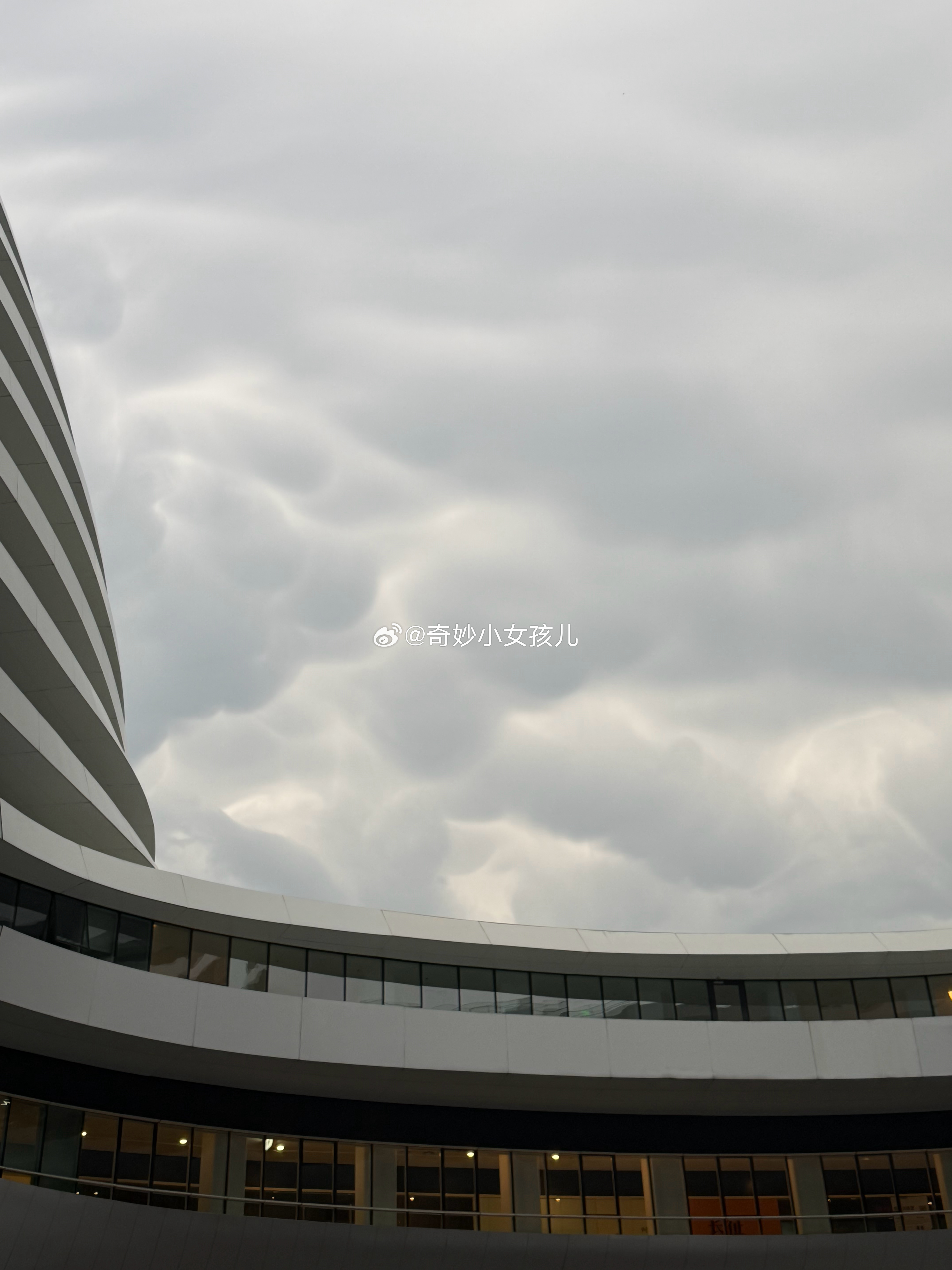 更新🆕1.忧郁欣2.某天的天5.盛哥做的很好吃的大虾，后来他疯魔了，非要放很多