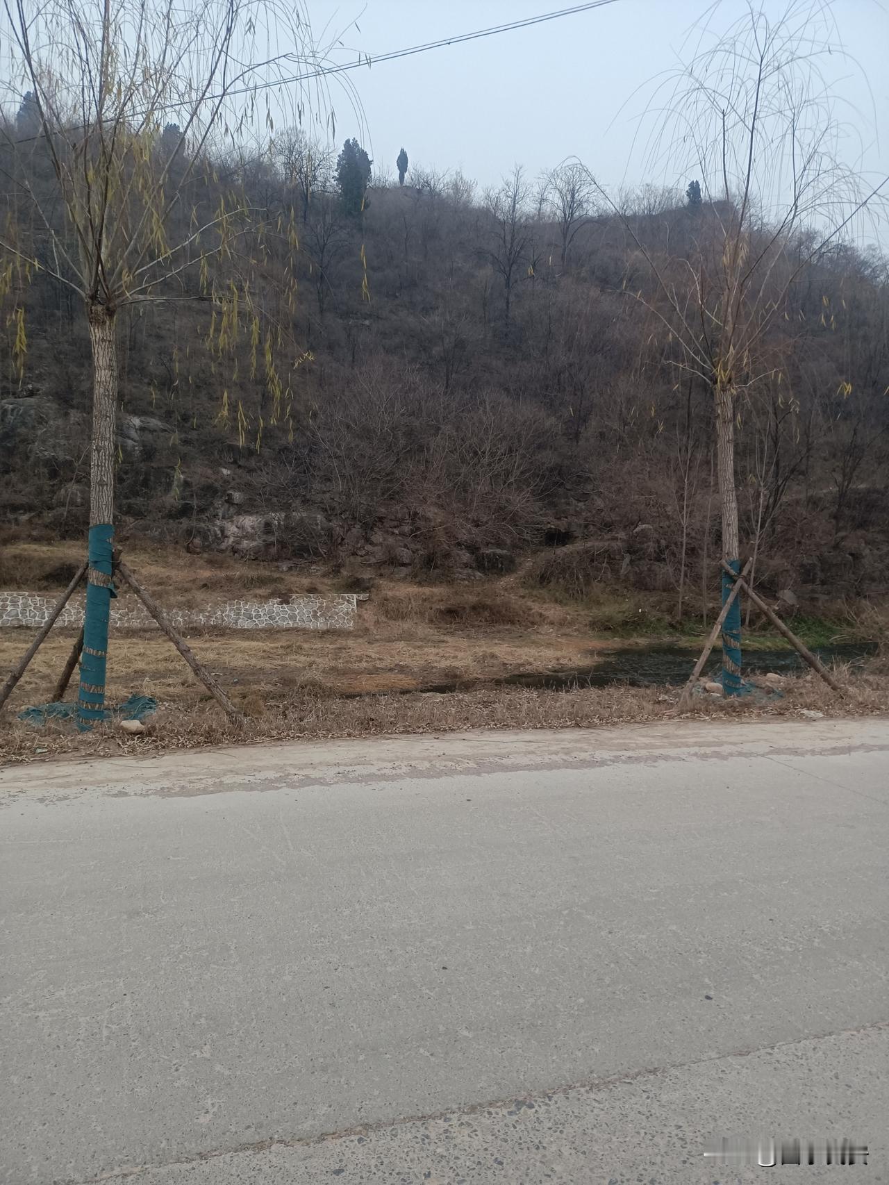 路边的初春山野
 
今儿出门溜达，拐到一条乡道上，抬眼就撞见了这片山野。
 
天