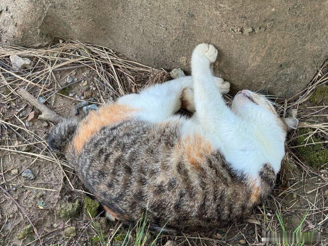 亲爱的 早ﾉ☀  秋意渐浓。 ​​​