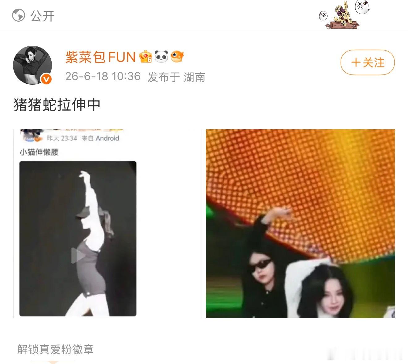 我每天上网装战斗粉： 