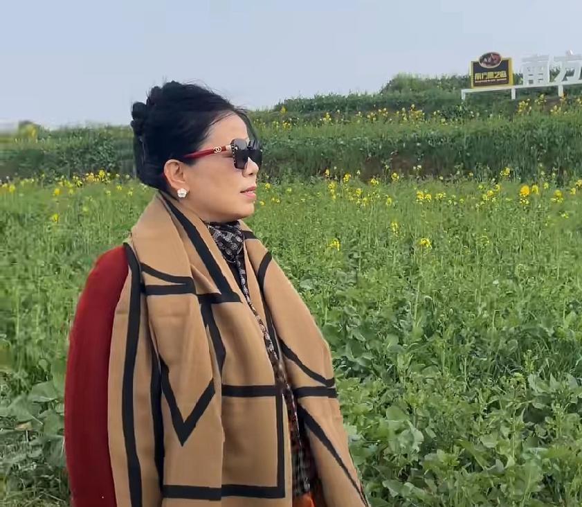 今日未能刷到柴桑大姨的直播，许多关注她的朋友都对其中缘由充满好奇。

有网友猜测