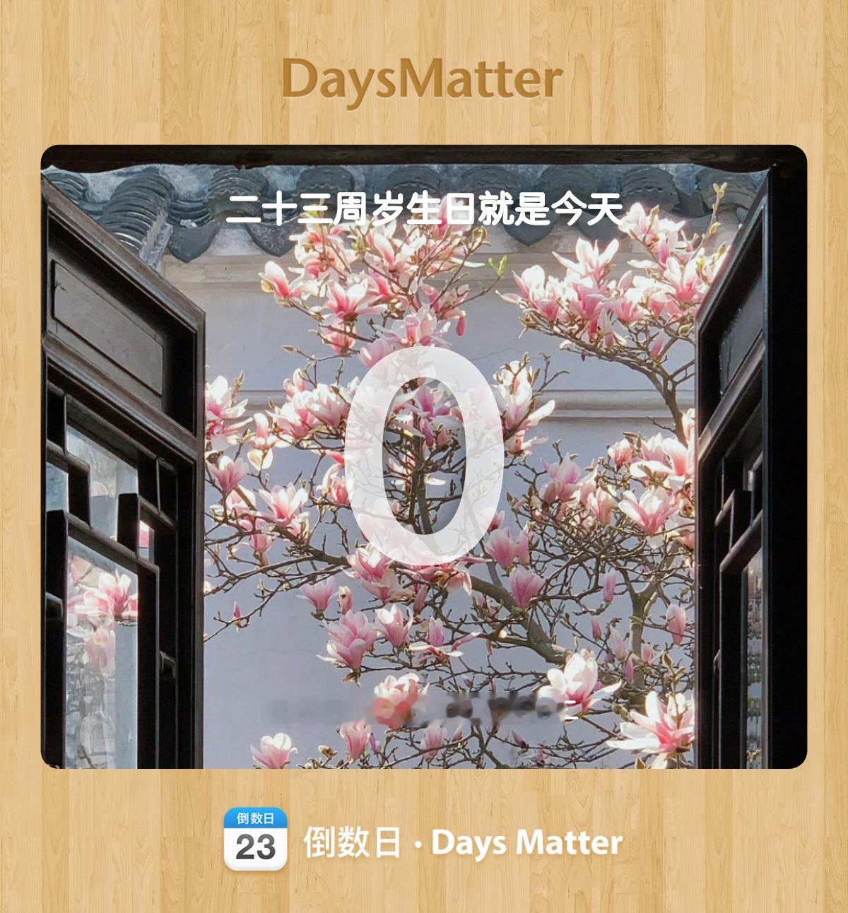 第二十三个夏天 
