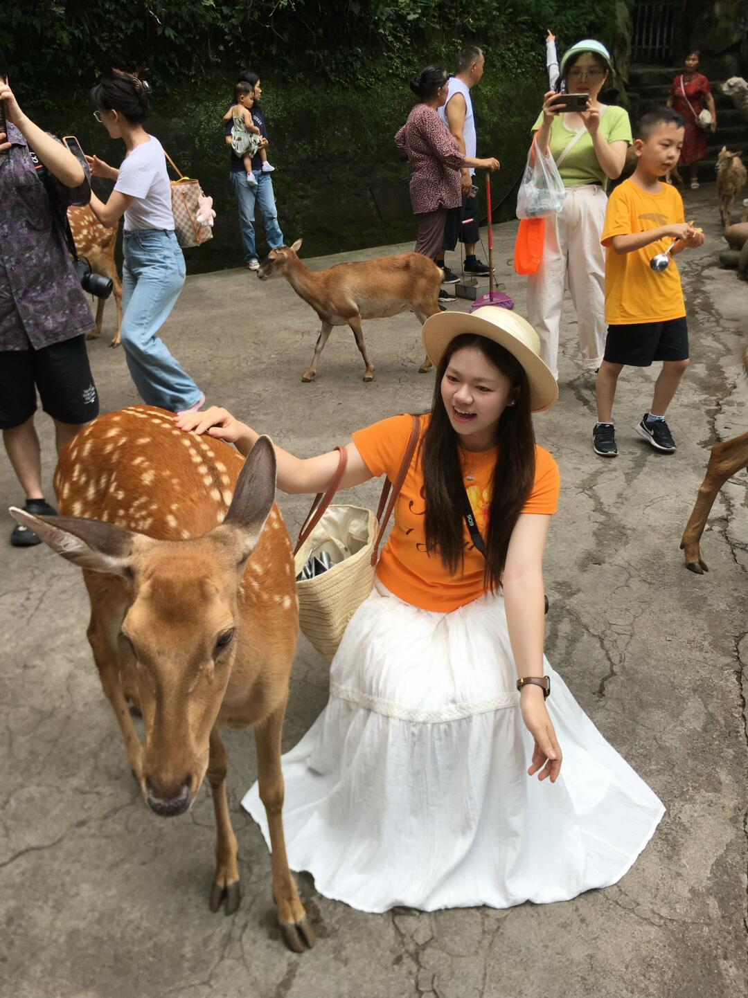 🦌.