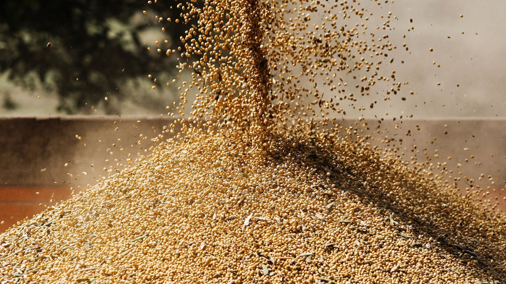 美国大豆出口协会首席执行官萨特强调，中国是美国大豆最重要且不可替代的市场。他表示